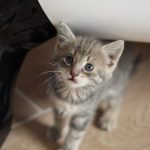 Цукерочка і мама Марися