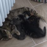 Цукерочка і мама Марися